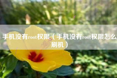 手机没有root权限（手机没有root权限怎么刷机）