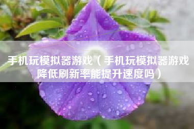 手机玩模拟器游戏（手机玩模拟器游戏降低刷新率能提升速度吗）