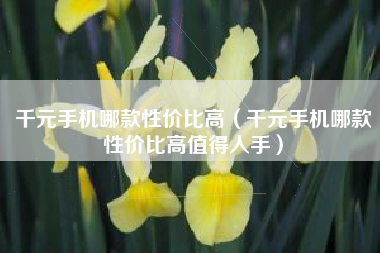 千元手机哪款性价比高（千元手机哪款性价比高值得入手）
