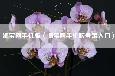 淘宝网手机版（淘宝网手机版登录入口）