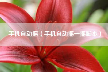 手机自动摇（手机自动摇一摇脚本）
