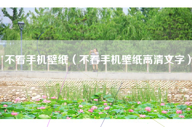不看手机壁纸（不看手机壁纸高清文字）
