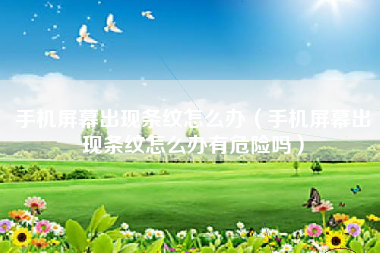 手机屏幕出现条纹怎么办（手机屏幕出现条纹怎么办有危险吗）