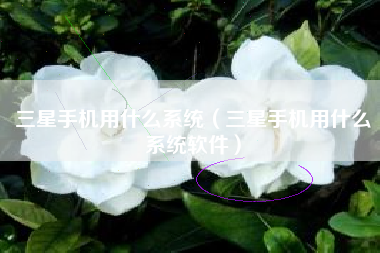 三星手机用什么系统（三星手机用什么系统软件）