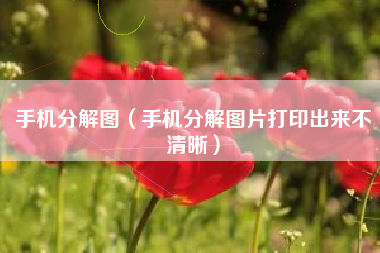 手机分解图（手机分解图片打印出来不清晰）