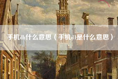 手机dh什么意思（手机d1是什么意思）