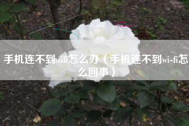 手机连不到wifi怎么办（手机连不到wi-fi怎么回事）