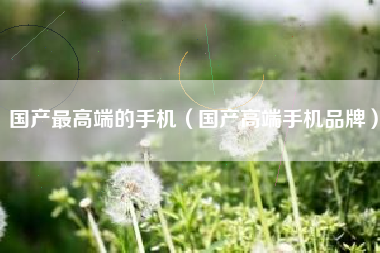 国产最高端的手机（国产高端手机品牌）