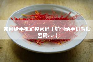 如何给手机解锁密码（如何给手机解锁密码vivo）
