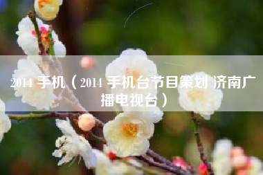 2014 手机（2014 手机台节目策划 济南广播电视台）