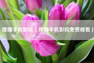 搜播手机影院（搜播手机影院免费观看）