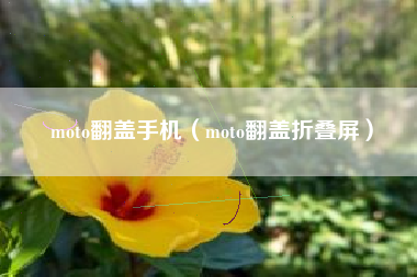 moto翻盖手机（moto翻盖折叠屏）