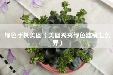 绿色手机美图（美图秀秀绿色滤镜怎么弄）