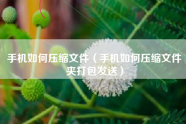 手机如何压缩文件（手机如何压缩文件夹打包发送）