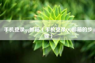 手机登录qq邮箱（手机登录QQ邮箱的步骤）
