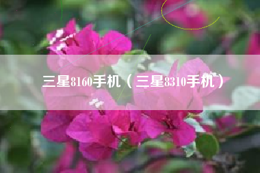 三星8160手机（三星8310手机）