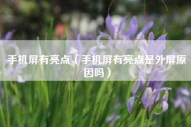 手机屏有亮点（手机屏有亮点是外屏原因吗）