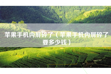 苹果手机内屏碎了（苹果手机内屏碎了要多少钱）