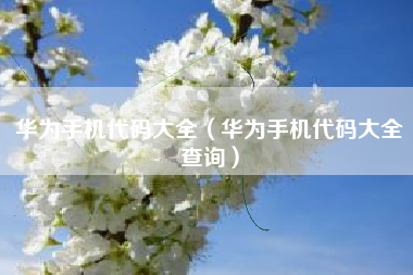 华为手机代码大全（华为手机代码大全查询）