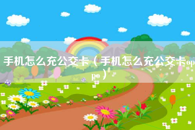 手机怎么充公交卡（手机怎么充公交卡oppo）