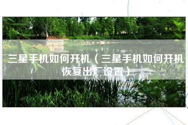 三星手机如何开机（三星手机如何开机恢复出厂设置）