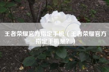 王者荣耀官方指定手机（王者荣耀官方指定手机是？）