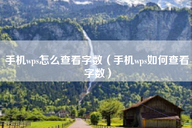 手机wps怎么查看字数（手机wps如何查看字数）