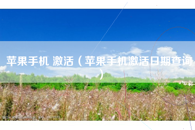 苹果手机 激活（苹果手机激活日期查询）