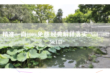 精准一肖100%免费,经典解释落实_Android256.183