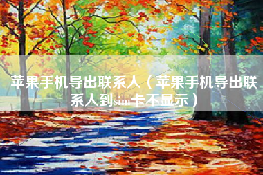 苹果手机导出联系人（苹果手机导出联系人到sim卡不显示）