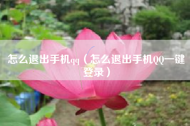 怎么退出手机qq（怎么退出手机QQ一键登录）