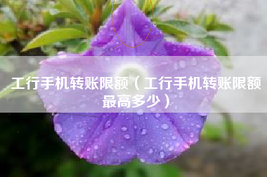 工行手机转账限额（工行手机转账限额最高多少）