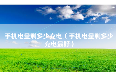 手机电量剩多少充电（手机电量剩多少充电最好）