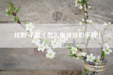 投影 手机（怎么电视投影手机）