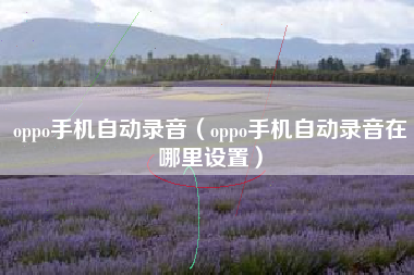 oppo手机自动录音（oppo手机自动录音在哪里设置）