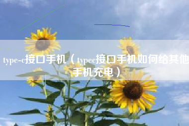 type-c接口手机（typec接口手机如何给其他手机充电）