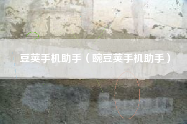 豆荚手机助手（豌豆荚手机助手）