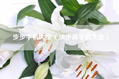 步步手机大全（步步高手机大全）