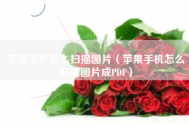 苹果手机怎么扫描图片（苹果手机怎么扫描图片成PDF）