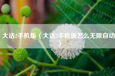 大话2手机版（大话2手机版怎么无限自动）