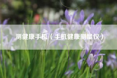 测健康手机（手机健康测量仪）