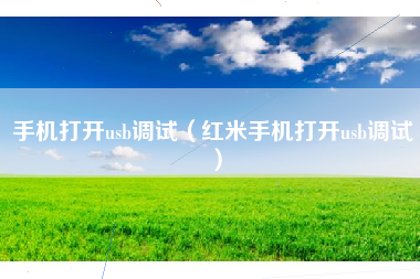 手机打开usb调试（红米手机打开usb调试）