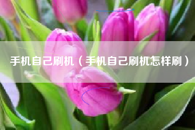 手机自己刷机（手机自己刷机怎样刷）