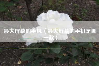 最大屏幕的手机（最大屏幕的手机是哪一款）