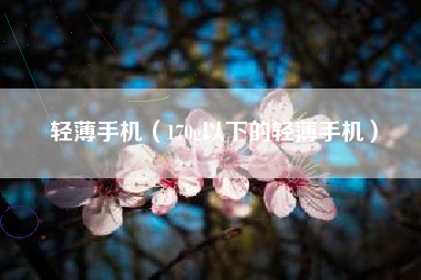 轻薄手机（170g以下的轻薄手机）