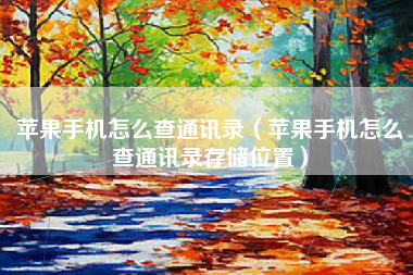 苹果手机怎么查通讯录（苹果手机怎么查通讯录存储位置）