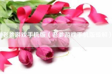 老爹游戏手机版（老爹游戏手机版破解）