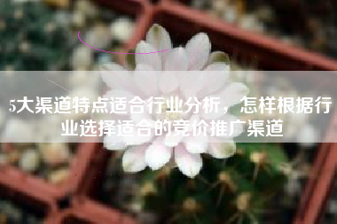5大渠道特点适合行业分析，怎样根据行业选择适合的竞价推广渠道