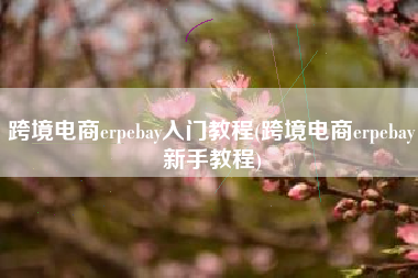 跨境电商erpebay入门教程(跨境电商erpebay新手教程)