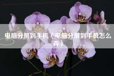 电脑分屏到手机（电脑分屏到手机怎么弄）